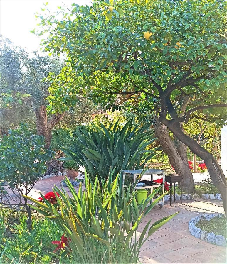 Seafront Apartments Garden House Taormina Eksteriør bilde