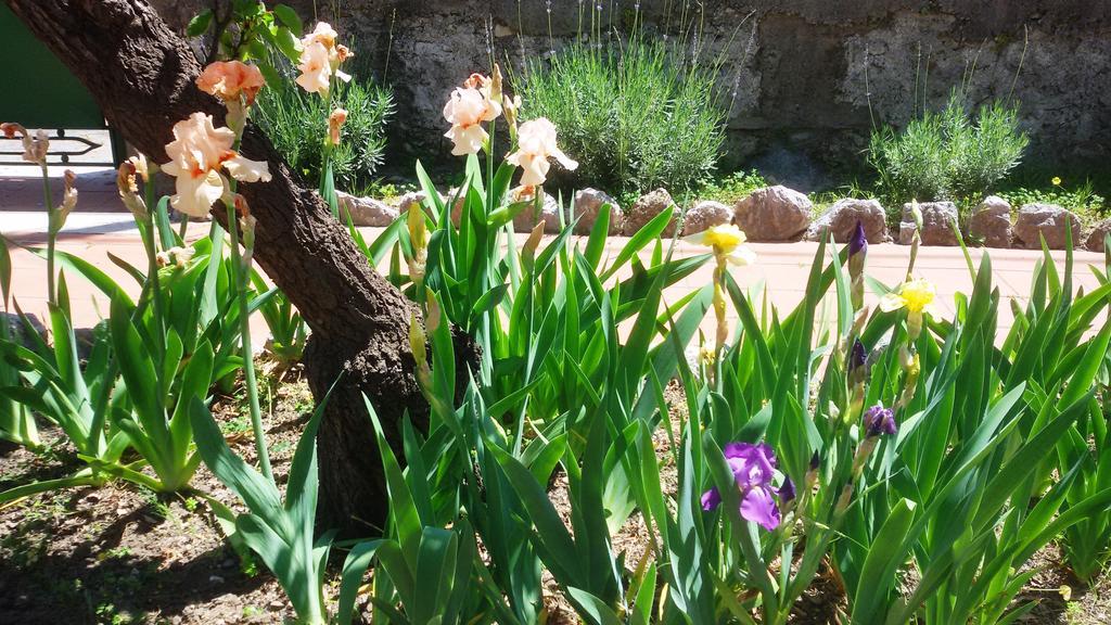 Seafront Apartments Garden House Taormina Rom bilde